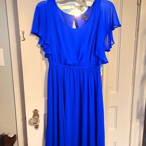 Adorable bright blue Torrid dress